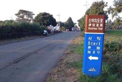 Paquete turístico de 1 día en el sur de Jeju