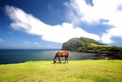Tour privado de un día a los sitios del Patrimonio de la UNESCO e