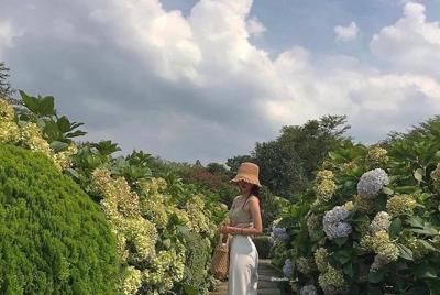 Excursión en autobús de 1 día a la isla de Jeju Oeste (almuerzo +