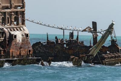 Viaje de esnórquel a naufragio cortado