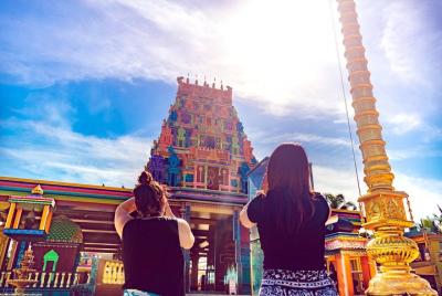 Nadi Tour Sleeping Giant, Nadi Temple, Sabeto Hotspring & Mudpool