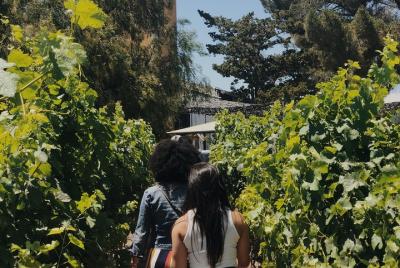 Baja Tour Guide enoturismo