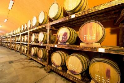 Tour del vino en Paju