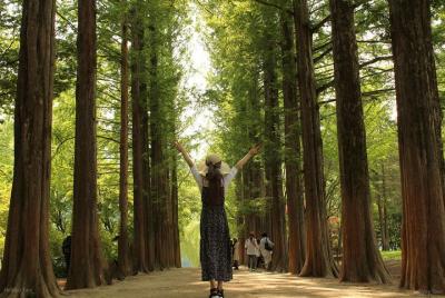 서울 출발】 이섬 & 강촌 바이크 & 아침 데이