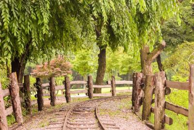 Nami Island, Petite France y Hot place Myeongdong!