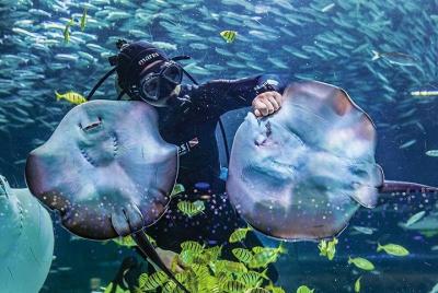 Sin colas: el boleto COEX del acuario urbano más grande