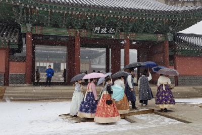 Tour esencial de 3 días: ciudad de Seúl, Nami, Petite, Garden of 