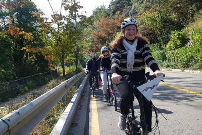 Excursión matutina en bicicleta eléctrica y almuerzo coreano