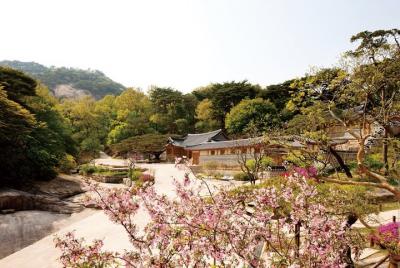 Mi tour privado favorito en Seúl