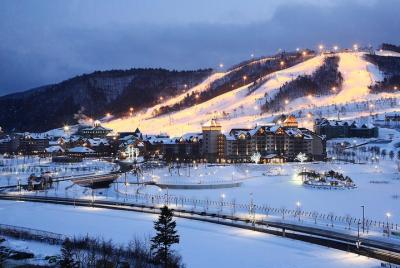 SNOW BUS - Pyeongchang Alpensia and Yongpyong resort shuttle bus 