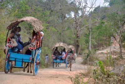 Excursión a la roca y al pueblo de Sigiriya desde Dambulla