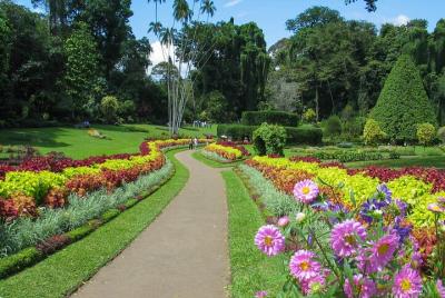 Kandy City Tour desde Dambulla