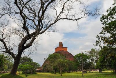 Excursión a los iconos budistas de Anuradhapura desde Habarana