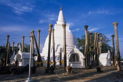 Excursión a los iconos budistas de Anuradhapura desde Dambulla