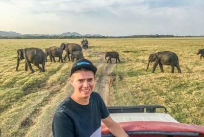 Minneriya National Park Safari desde Dambulla