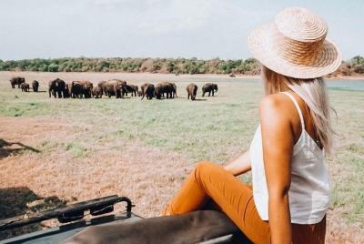 Safari en el Parque Nacional Minneriya desde Habarana