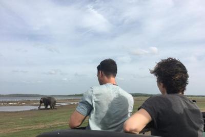 Safari privado en jeep en el Parque Nacional Minneriya