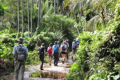 Tour privado de aventura por la noche a nudillos y pueblo de Meem Tour privado de aventura por la noche a nudillos y pueblo de Meem