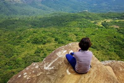 Caminata nocturna a Riverston Caminata nocturna a Riverston