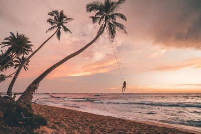 Tour privado de 7 noches por Sri Lanka