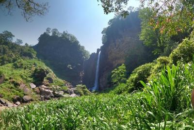 Excursiones de un día desde Anuradhapura a varias ciudades como s
