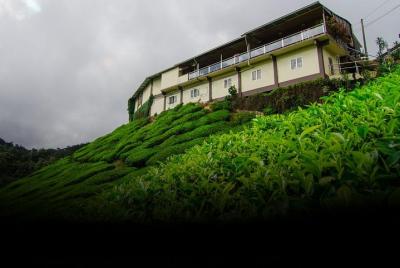 Visita a la fábrica de té en Elpitiya Visita a la fábrica de té en Elpitiya