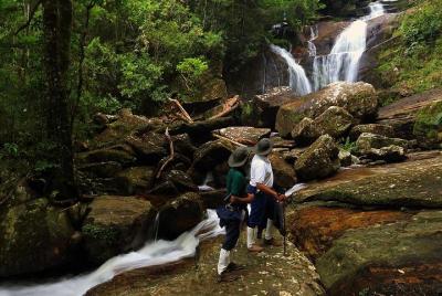Excursión a la selva tropical de Sinharaja Excursión a la selva tropical de Sinharaja