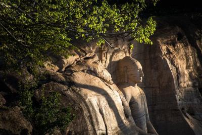 Safari del Reino Antiguo y Elefante Salvaje desde Polonnaruwa