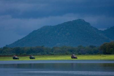 Safari en el Parque Nacional Udawalawe desde Bentota