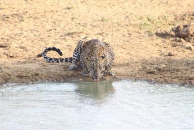 viajes y excursiones, día santo