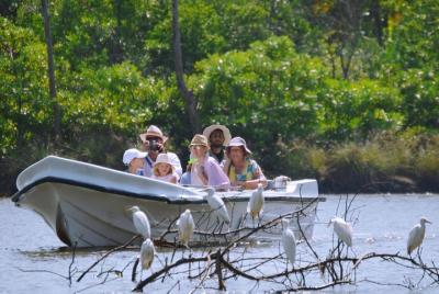 Muthurajawela Bird Watching Boat Tour Muthurajawela Bird Watching Boat Tour