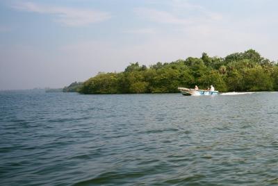 Aspectos destacados del tour privado de Bentota desde Colombo