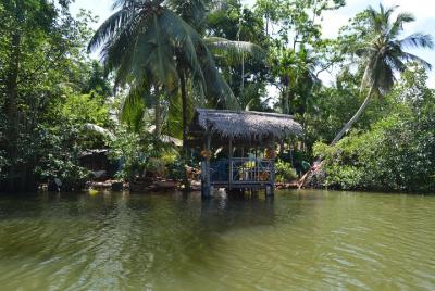 Explore el hermoso recorrido por la costa oeste: 1 día con su guí