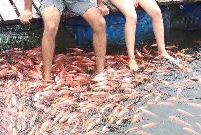 Excursiones de un día a Galle Fort y Bentota desde Colombo