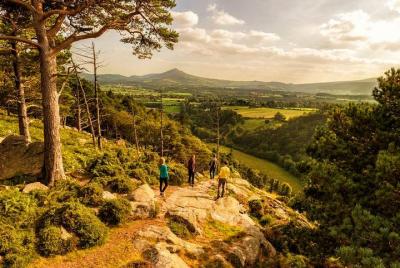 Escapada de un día a Wicklow con visita guiada, incluye excursión Escapada de un día a Wicklow con visita guiada, incluye excursión