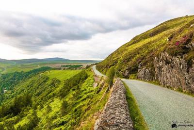 Recorrido en autobús por la historia escénica y musical de Wicklo