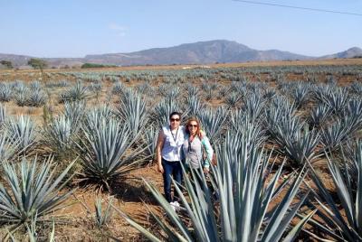 Ruta del Tequila Tour Ruta del Tequila Tour