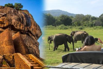Excursión de un día a Sigiriya y Minneriya Safari Excursión de un día a Sigiriya y Minneriya Safari