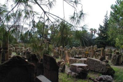 1/2 dia de cartago y sidi bou dijo