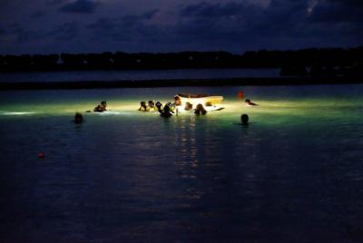 Experiencia de snorkel nocturno en Mirissa Experiencia de snorkel nocturno en Mirissa
