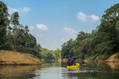 Experiencia guiada de kayak en aguas bravas de 6 horas