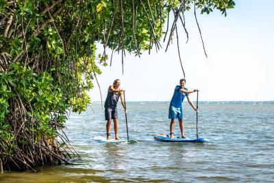 Excursión de pie a la laguna remando en Hikkaduwa