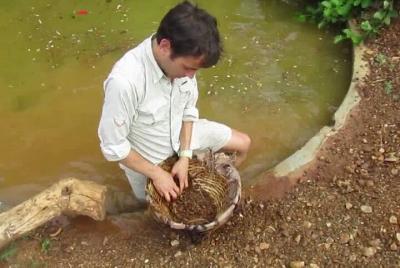 Explora minas de gemas en Rathnapura desde Negombo