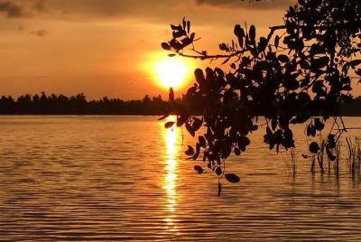 Paseo en catamarán Bentota (tradicional)