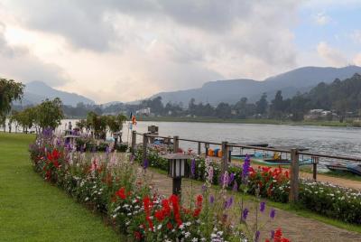 Nuwara Eliya - Encuentro Mystic Mountain