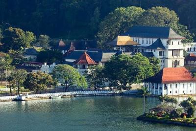 Excursión privada de un día de kandy a la plantación de té nuwara