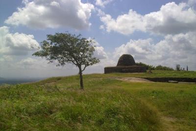 Excursión privada de 2 reinos antiguos desde Kandy