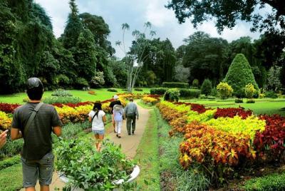 Excursión privada en Kandy en automóvil con aire acondicionado: h
