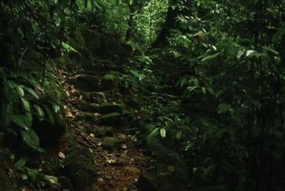 El cruce del pueblo y la caminata por el bosque hasta las antigua El cruce del pueblo y la caminata por el bosque hasta las antigua