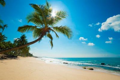 Tour de la ciudad de Negombo